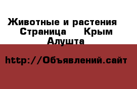  Животные и растения - Страница 3 . Крым,Алушта